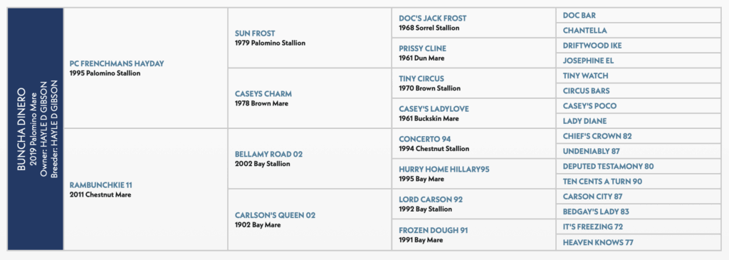 Buncha Dinero Pedigree